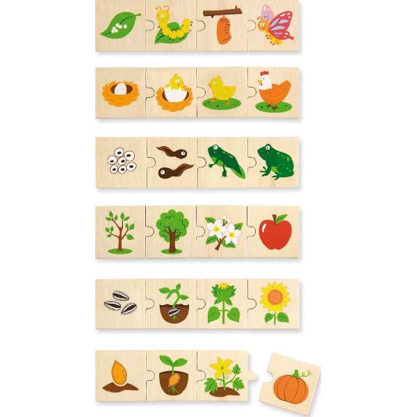 Puzzle din lemn: Evolutie