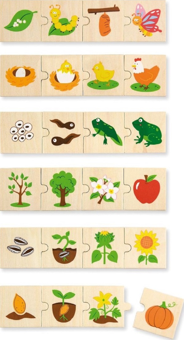 Puzzle din lemn: Evolutie