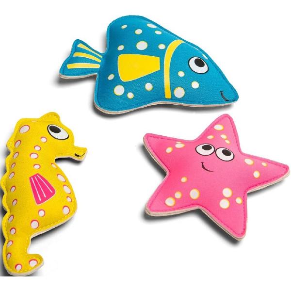Set pentru scufundari: Peste, calut de mare si steluta de mare