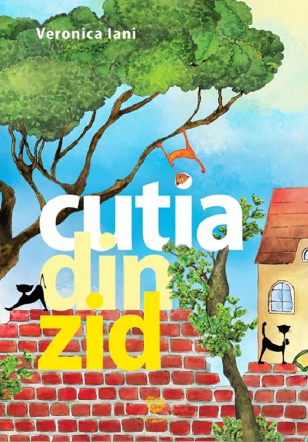 Cutia din zid - Veronica Iani