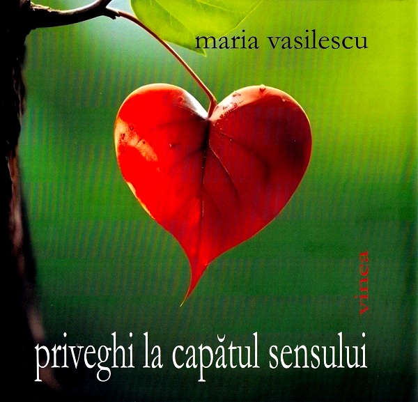 Priveghi la capatul sensului - Maria Vasilescu