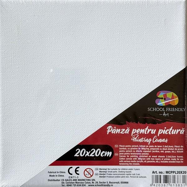 Canvas. Panza pentru pictura pentru sasiu 20 x 20