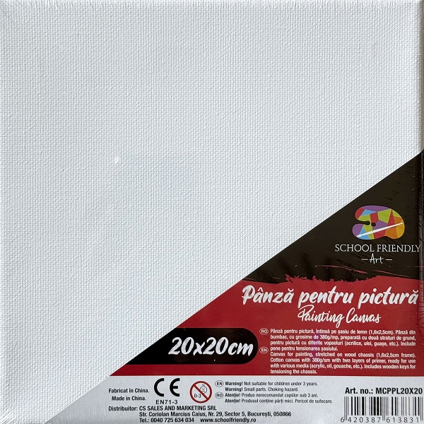 Canvas. Panza pentru pictura pentru sasiu 20 x 20