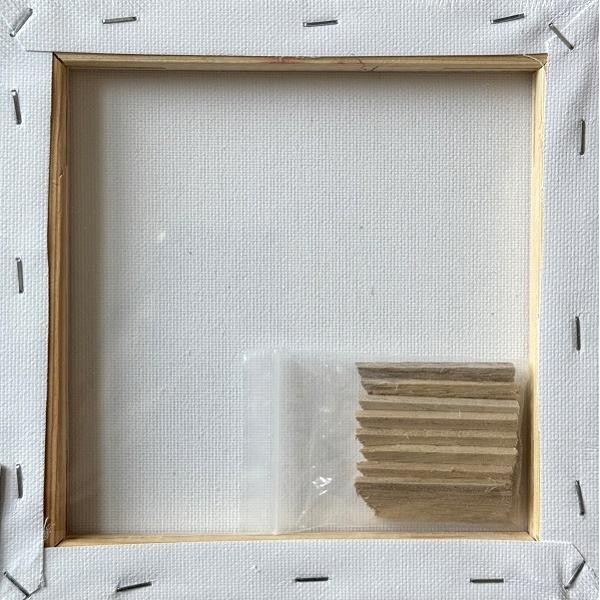 Canvas. Panza pentru pictura pentru sasiu 20 x 20