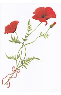 Imaginea produsului 'Felicitare: Mac'