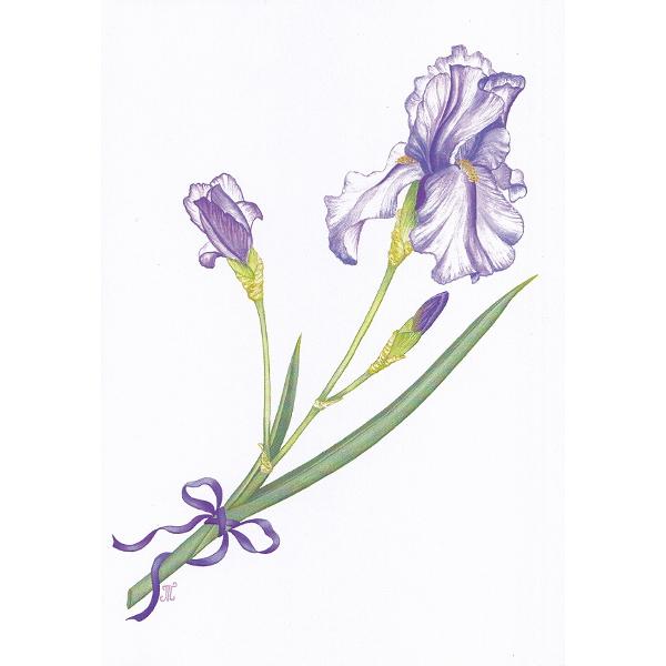 Felicitare: Iris
