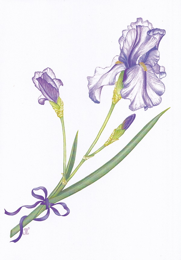 Felicitare: Iris