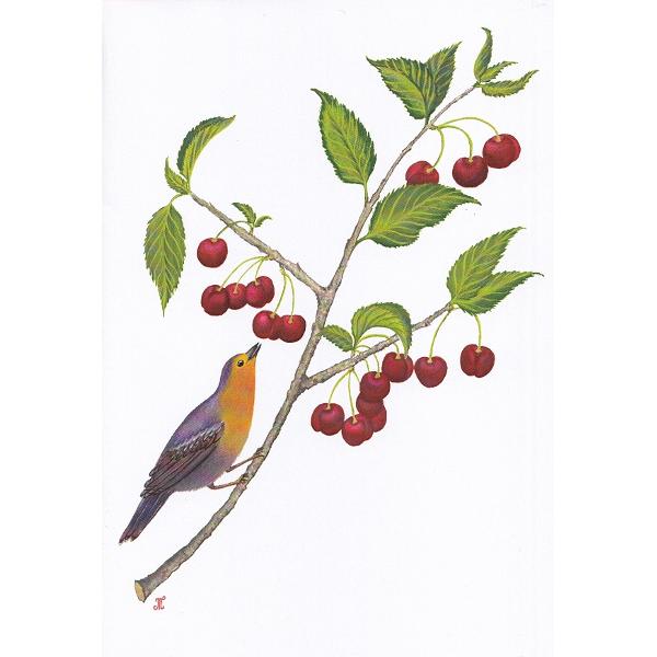 Felicitare: Cirese