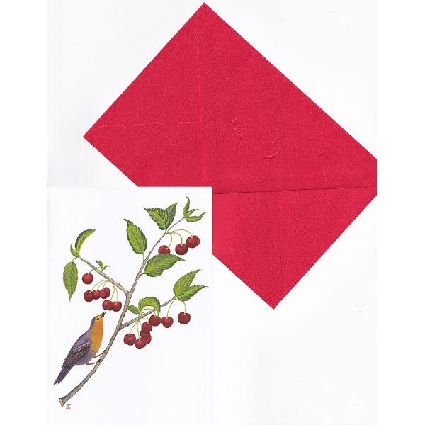 Felicitare: Cirese