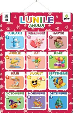 Poza produsului Plansa. Lunile anului