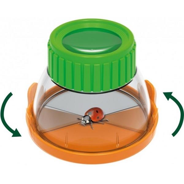 Set educativ. Terrarium