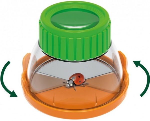 Set educativ. Terrarium