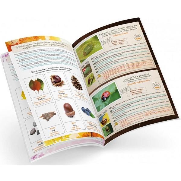Set educativ. Terrarium