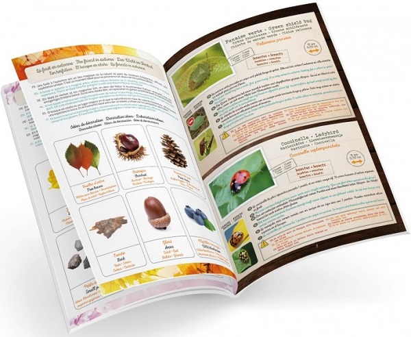Set educativ. Terrarium