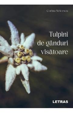 First slide Image
