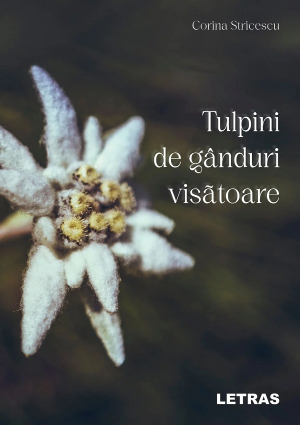 Tulpini de ganduri visatoare - Corina Stricescu