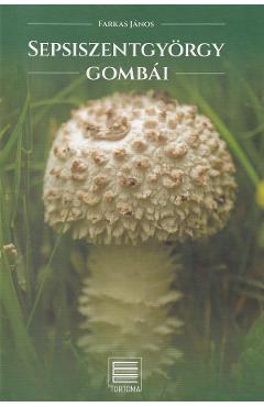 Poza produsului Sepsiszentgyorgy gombai - Farkas Janos