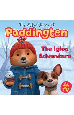 Coperta cărții 'Igloo Adventure -'