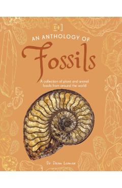 Anthology of Fossils - Dean Lomax