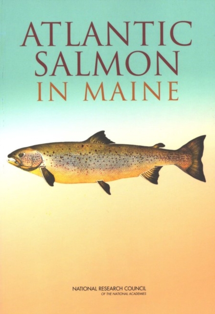 Atlantic Salmon in Maine - 