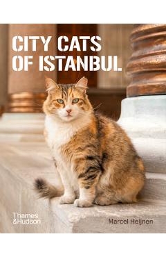 Coperta cărții 'City Cats of Istanbul - Marcel Heijnen'
