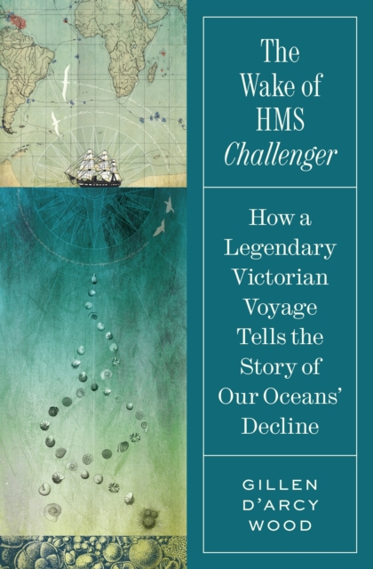 Wake of HMS Challenger - Gillen D’arcy Wood