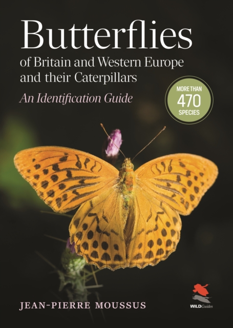 Butterflies of Britain and Western Europe and Their Caterpillars - Jean-pierre Moussus