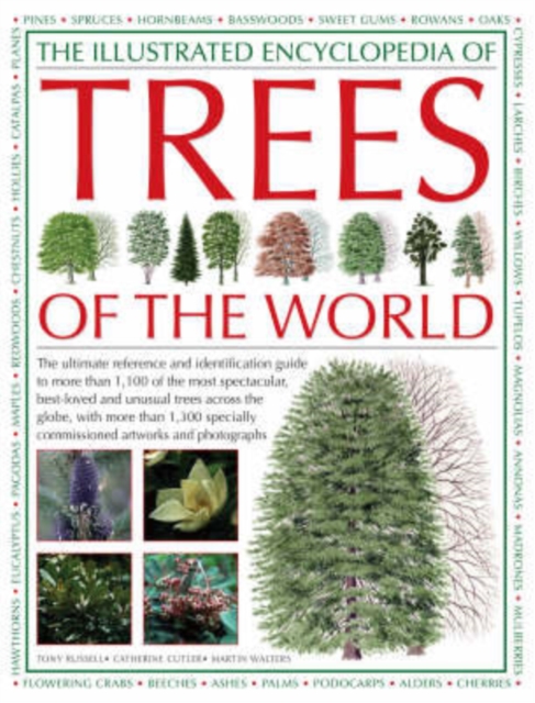 Illustrated Encyclopedia of Trees of the World - Tony|cutler Russell