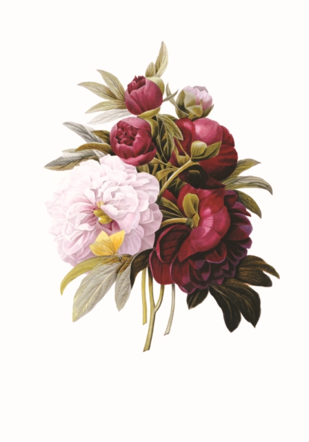 Memo Block: Redoute Peony - 