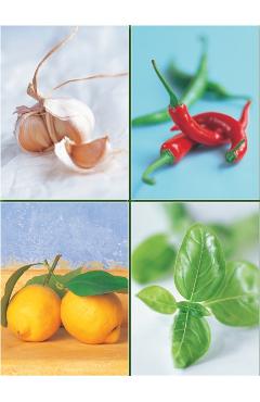 Set of Four Magnetic Notepads: Herbs -