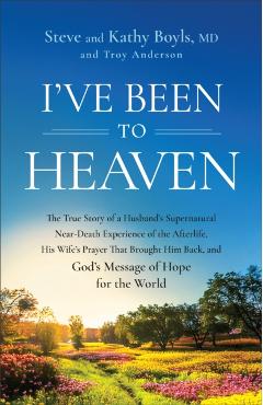 Poza produsului I've Been to Heaven - Steve|boyls Boyls