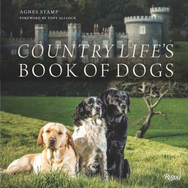 Country Life's Book of Dogs - Agnes|allcock Stamp