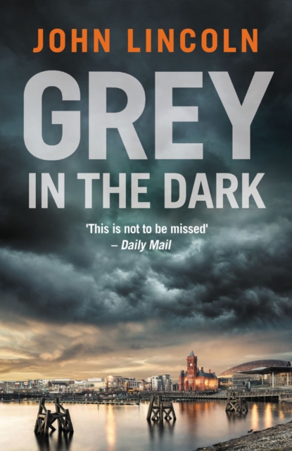 Grey in the Dark - John Lincoln