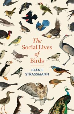 Social Lives of Birds - Joan E. Strassmann