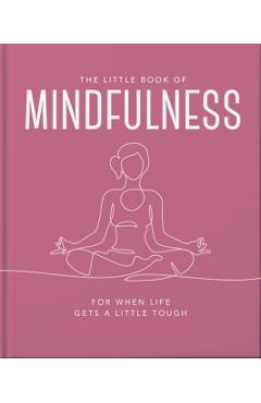 Coperta cărții 'Little Book of Mindfulness -'