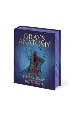 Gray's Anatomy - Henry Gray