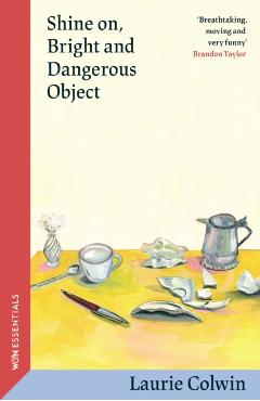 Shine on, Bright and Dangerous Object - Laurie Colwin