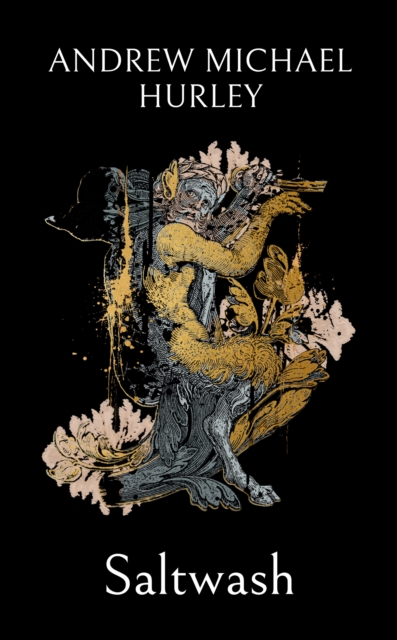 Saltwash - Andrew Michael Hurley