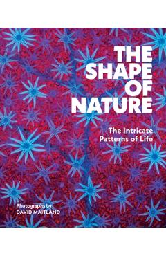 Shape of Nature - David Maitland