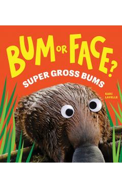 Coperta cărții 'Bum or Face? Volume 3 - Kari Lavelle'