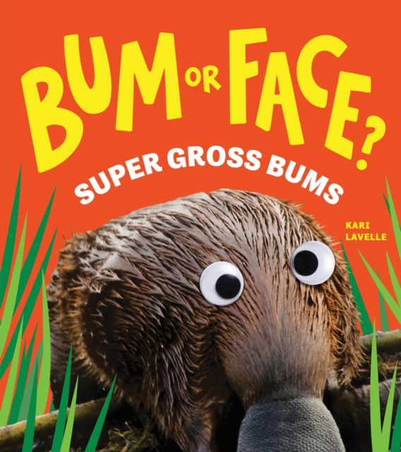 Coperta cărții 'Bum or Face? Volume 3 - Kari Lavelle'