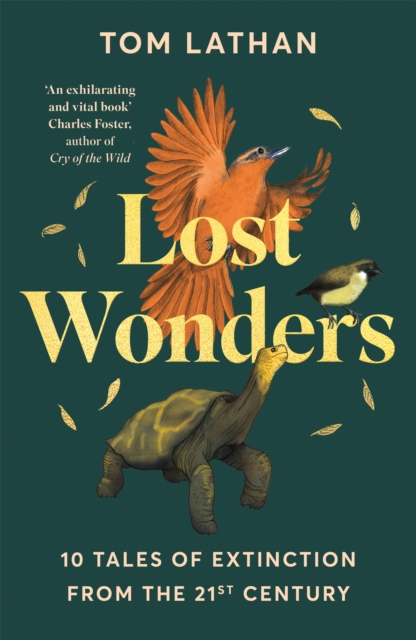 Lost Wonders - Tom Lathan