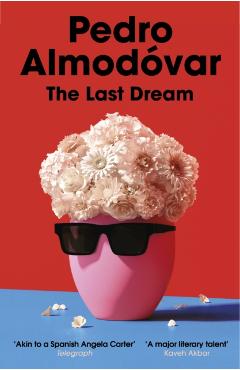 Last Dream - Pedro Almodovar