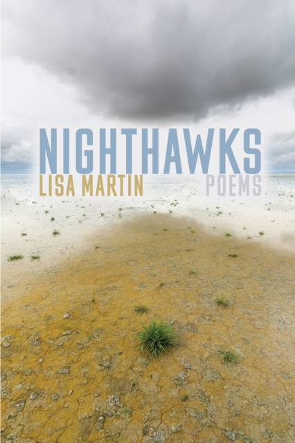 Coperta cărții 'Nighthawks - Lisa Martin'