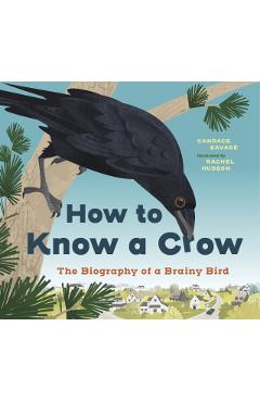 Coperta cărții 'How to Know a Crow - Candace Savage'