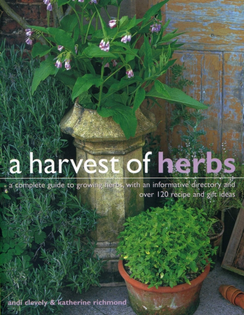 Harvest of Herbs - 