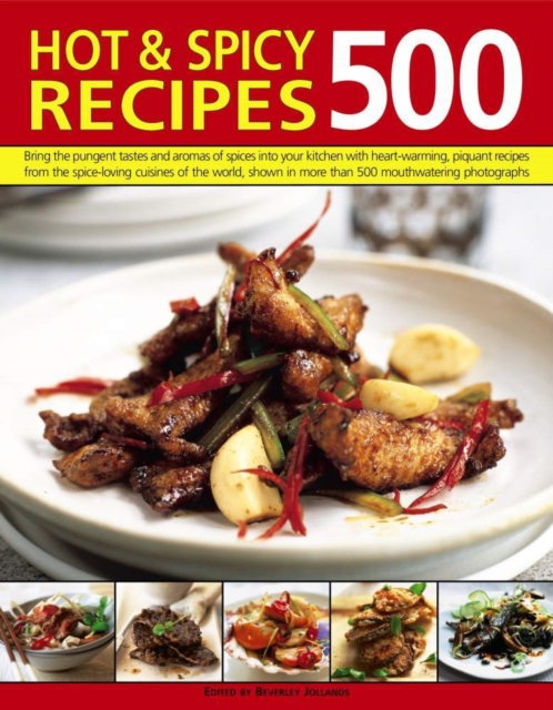Coperta cărții '500 Hot & Spicy Recipes -'