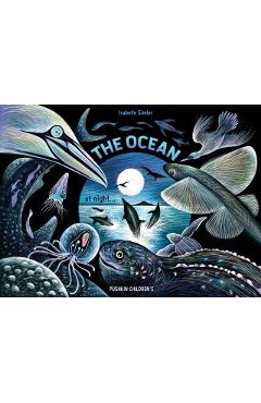 Coperta cărții 'Ocean at Night - Isabelle Simler'