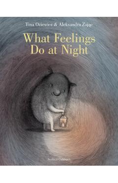 Coperta cărții 'What Feelings Do at Night - Tina Oziewicz'