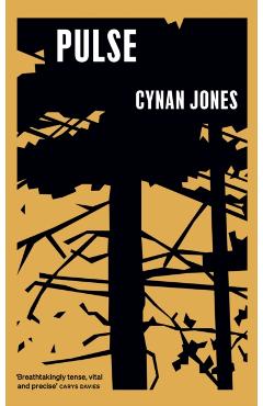 Poza produsului Pulse - Cynan Jones